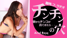 η ɤ󥳤ФƤ顦 Ariel Rose ꥨ  8